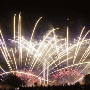 Silvester vo Viedni